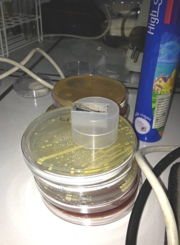 img_0877.jpg img_0877.jpg