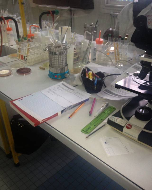 img_0882.jpg img_0882.jpg