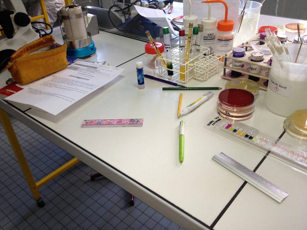 img_0879.jpg img_0879.jpg